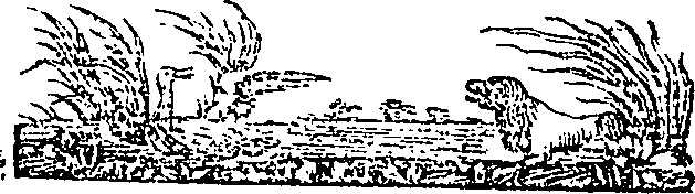 090/090170050000950_0.png