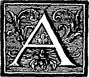 090/090190010100810_0.png