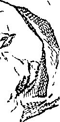 090/090200040300800_1.png
