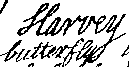 090/090200040400390_0.png