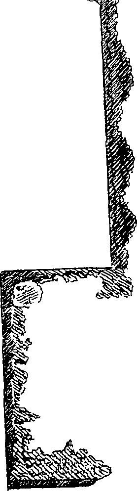 090/090220010803250_1.png