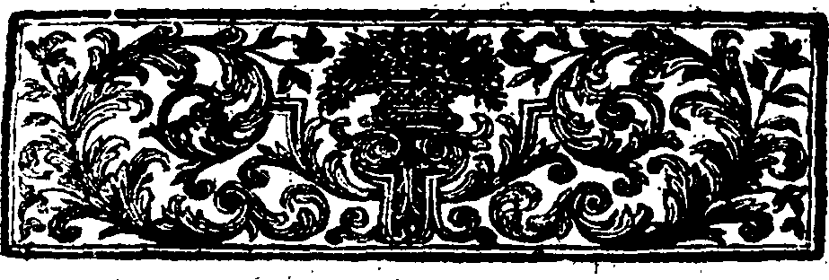 090/090220050000050_1.png