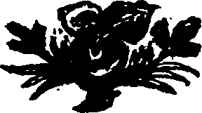 090/090220050000510_0.png