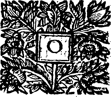 090/090250010300080_0.png