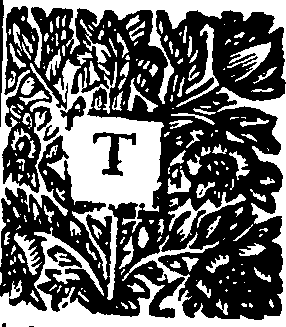 090/090250010304420_0.png