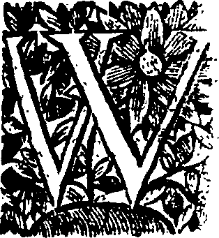 090/090250010305390_0.png
