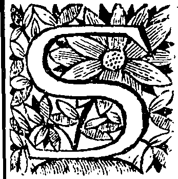 090/090250010305690_0.png
