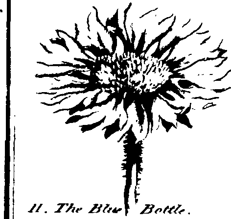 090/090300010201190_0.png