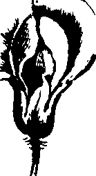 090/090300010201190_1.png