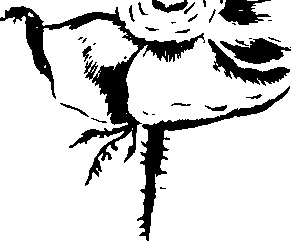 090/090300010201190_3.png