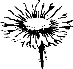 090/090300010201190_4.png