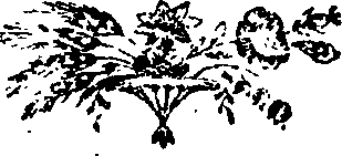 090/090300010300690_0.png