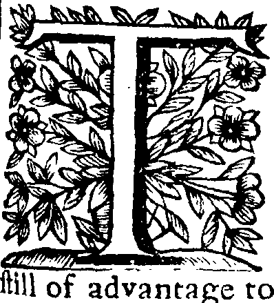 090/090450010003560_0.png