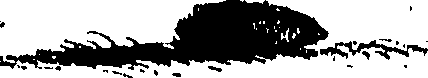090/090490020000920_0.png