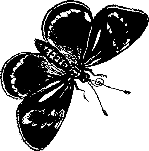 090/090490020001040_0.png