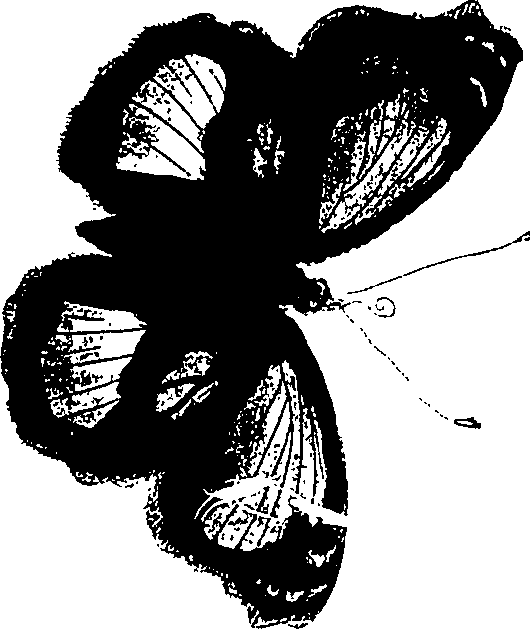 090/090490020001100_1.png