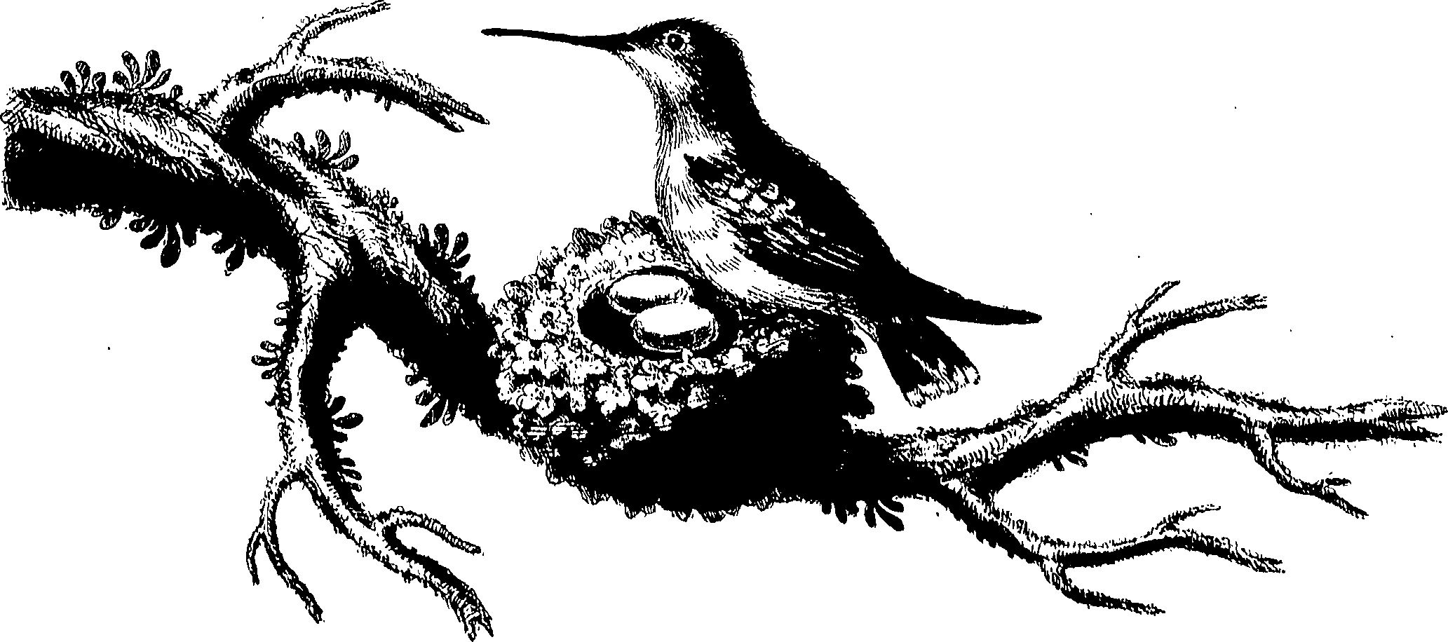 090/090490020001110_0.png