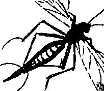 090/090490020001240_0.png
