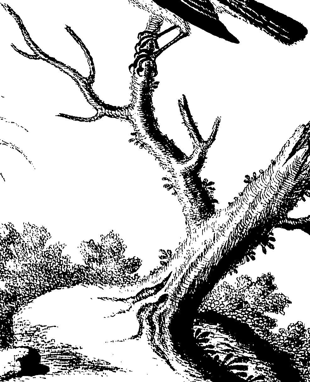 090/090490020002040_0.png