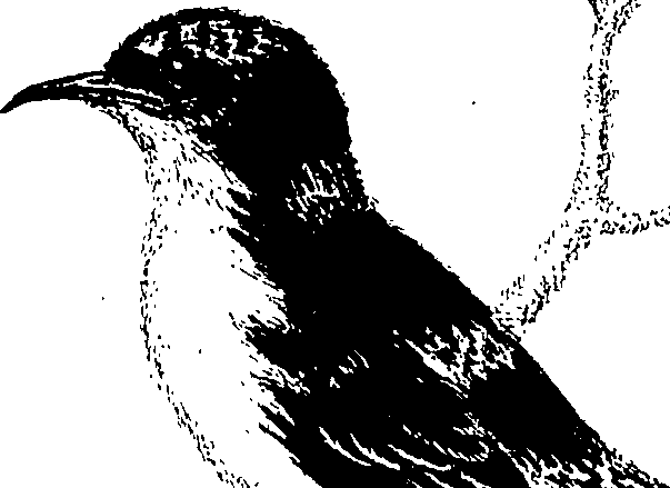 090/090490020002040_1.png