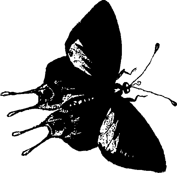 090/090490020002040_2.png