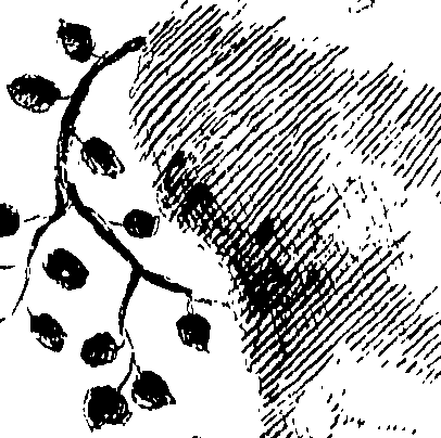 090/090490020002120_0.png