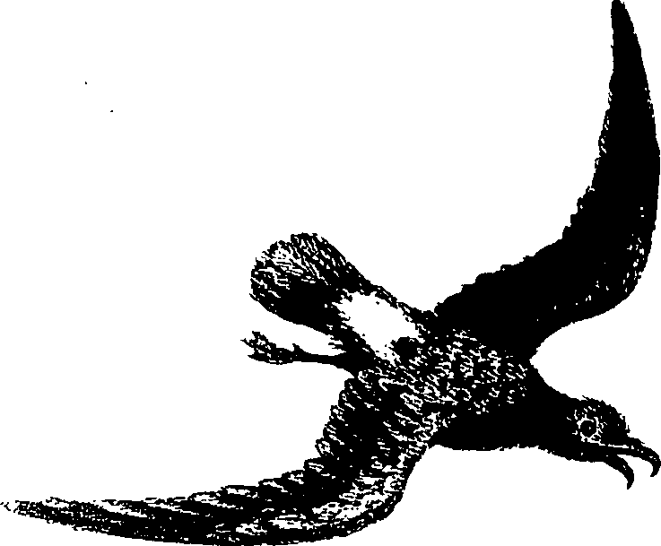 090/090490020002210_0.png