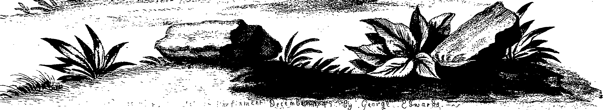 090/090490020002500_0.png