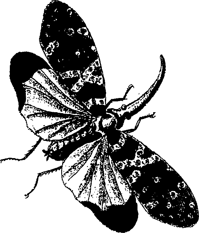 090/090490020003170_0.png