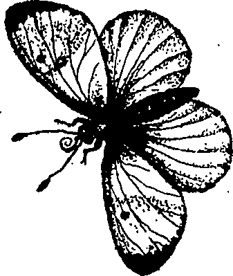 090/090490020003260_0.png