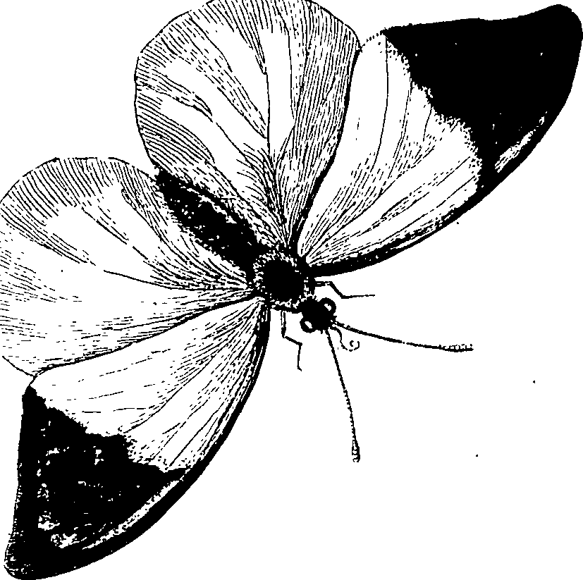 090/090490020003330_0.png