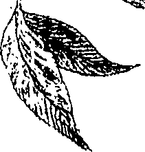 090/090490020003340_0.png