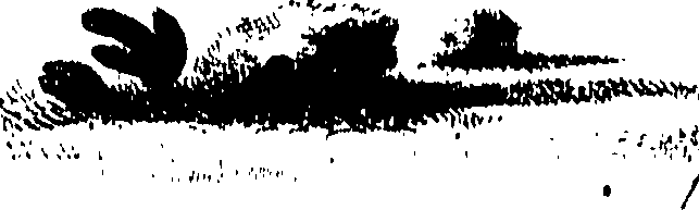 090/090490020003370_0.png