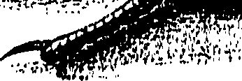 090/090490020003490_0.png