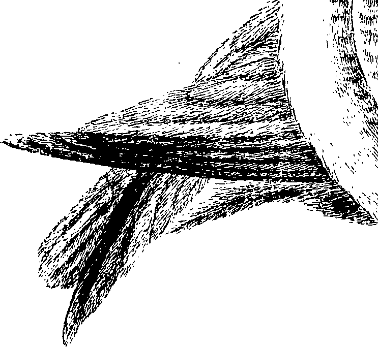 090/090490020003540_0.png