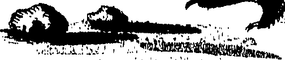 090/090490020003740_1.png