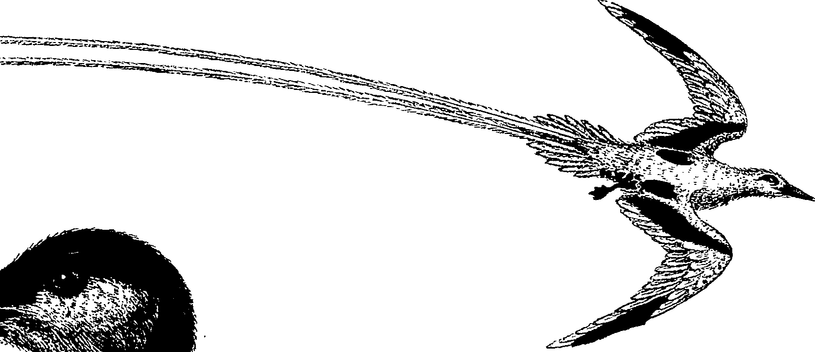 090/090490020003740_2.png