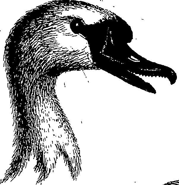 090/090490020003770_0.png