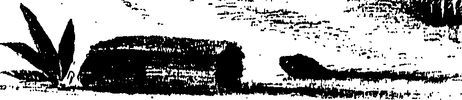 090/090490020004310_0.png