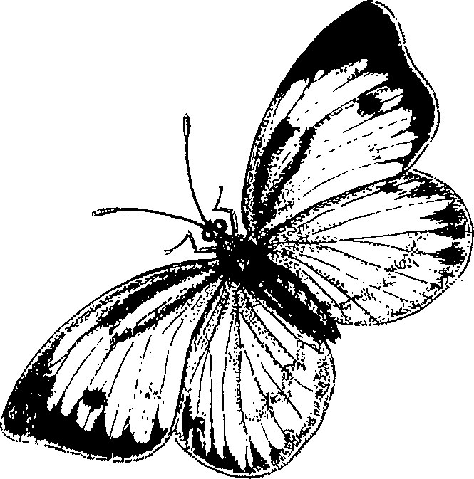 090/090490020004470_0.png
