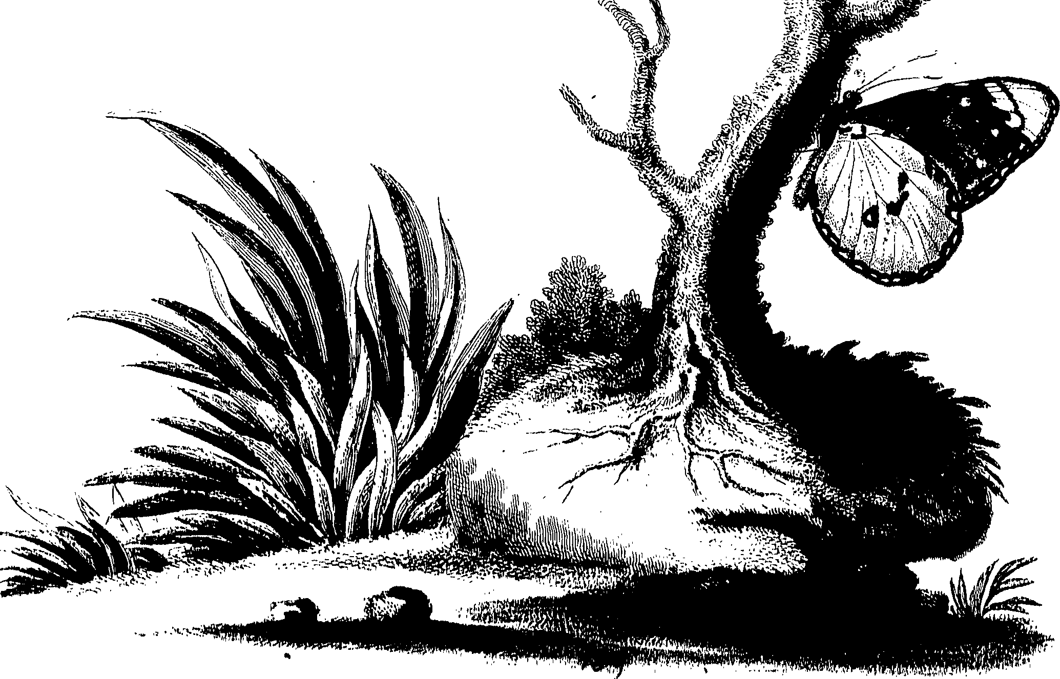 090/090490020004560_0.png
