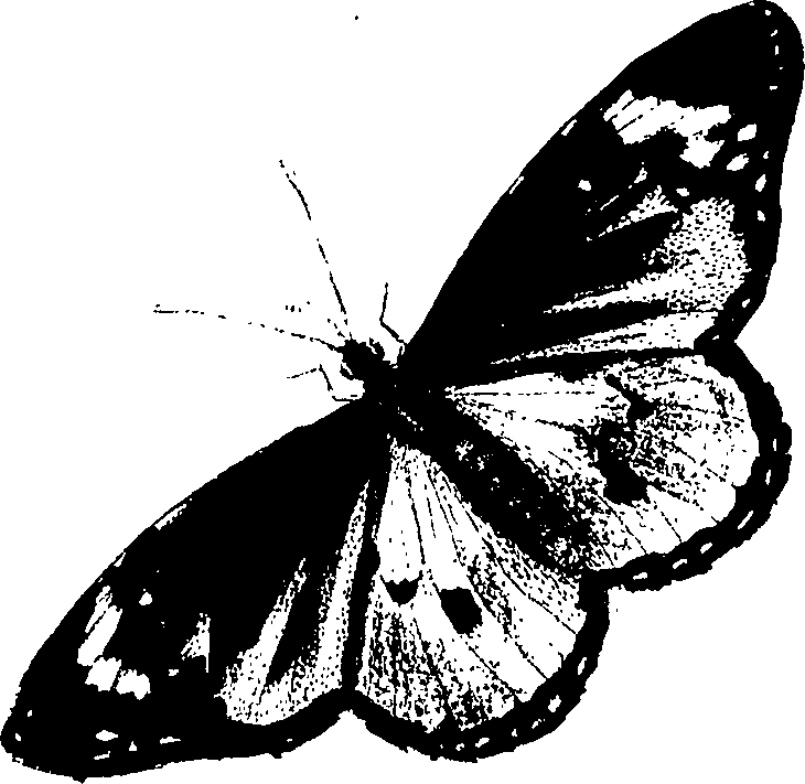 090/090490020004560_1.png