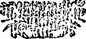 090/090490020004770_0.png