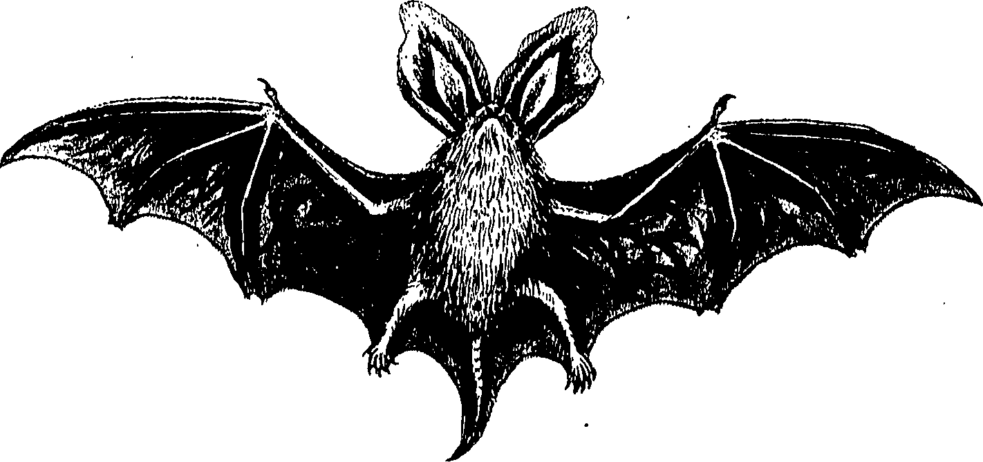090/090490020004800_0.png