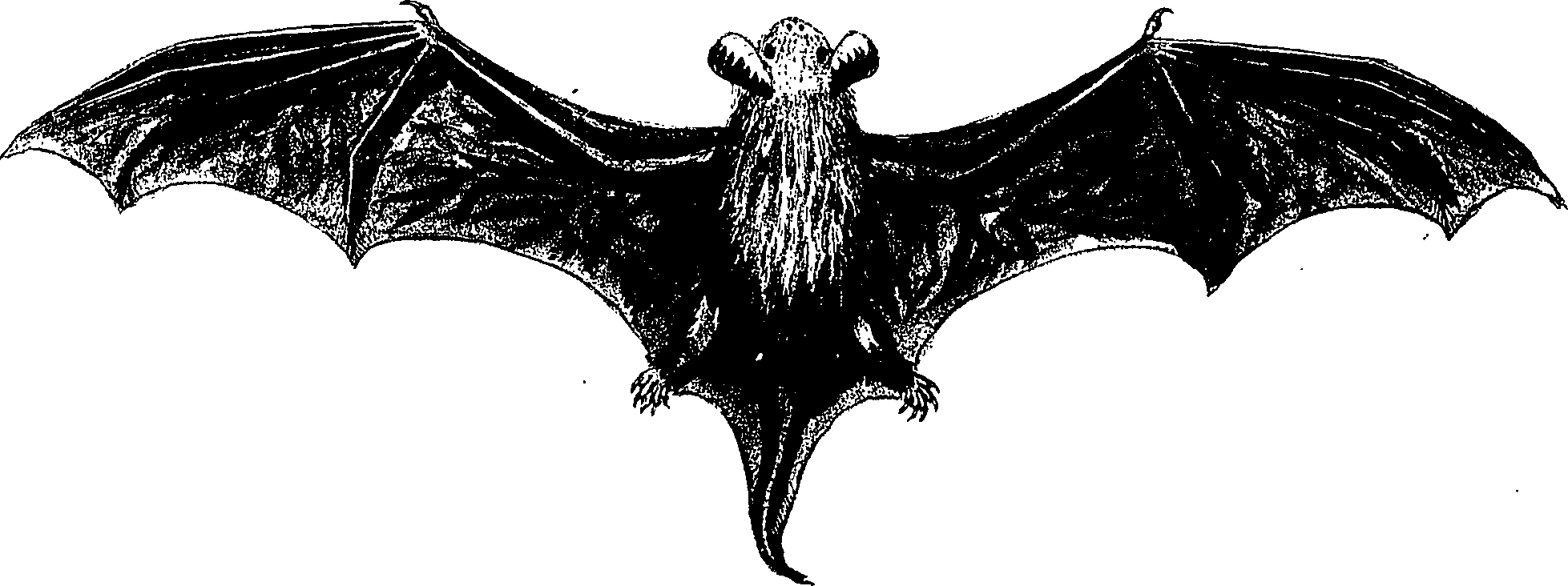 090/090490020004800_1.png