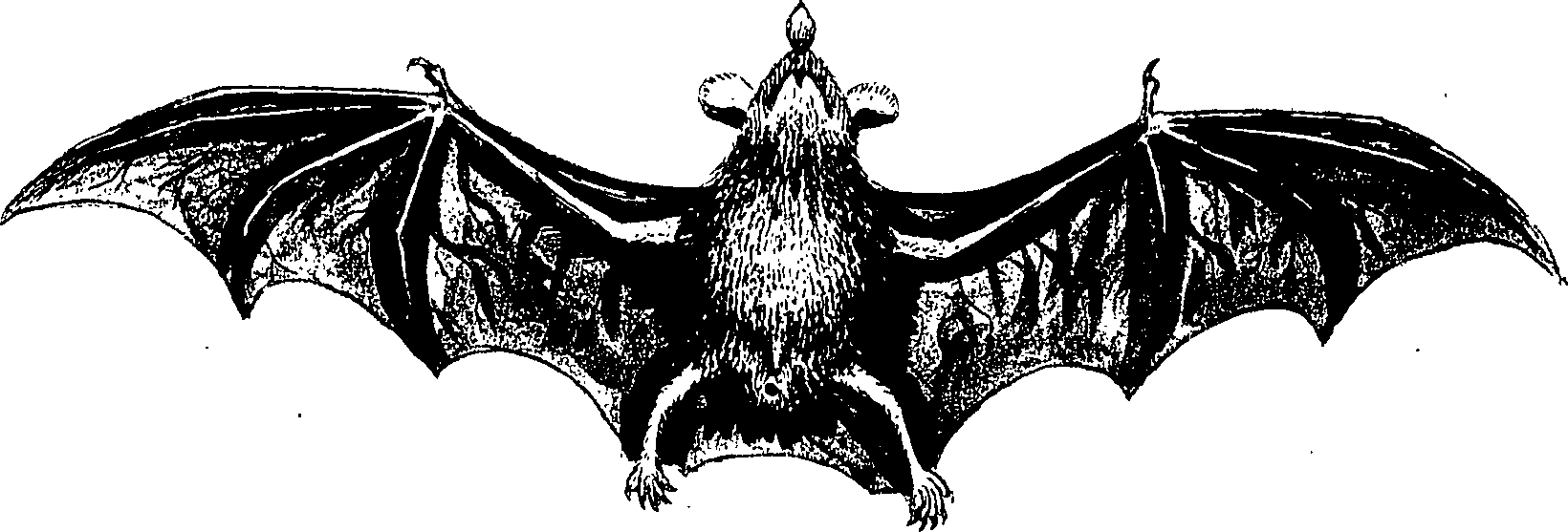 090/090490020004800_2.png