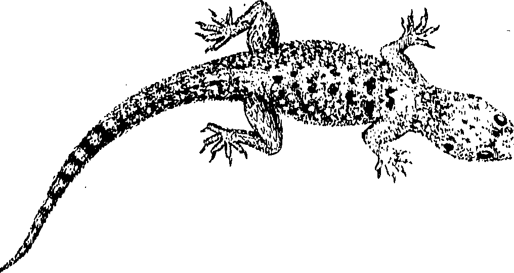 090/090490020004870_0.png