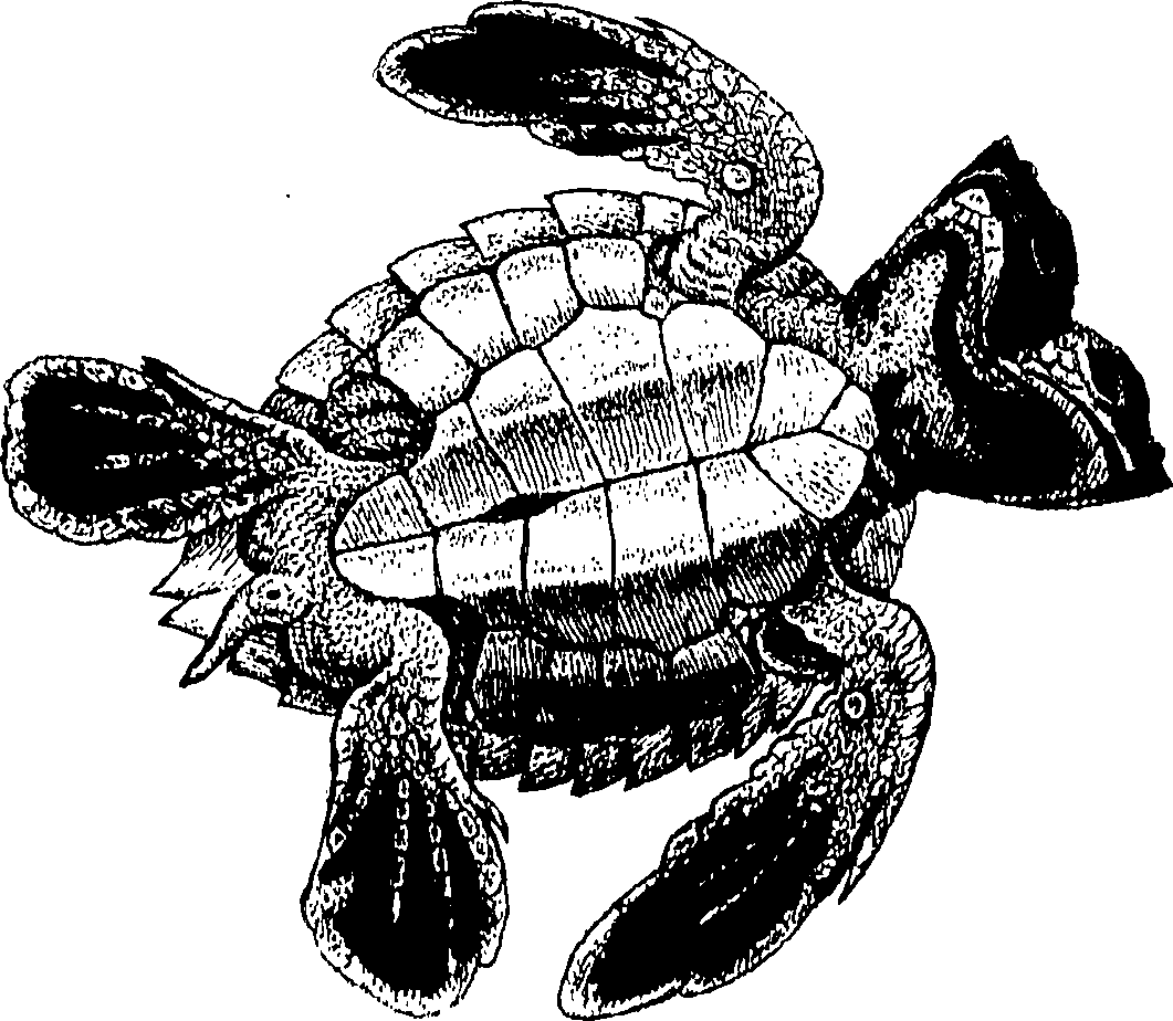 090/090490020004910_0.png