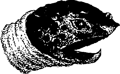 090/090490020004910_1.png