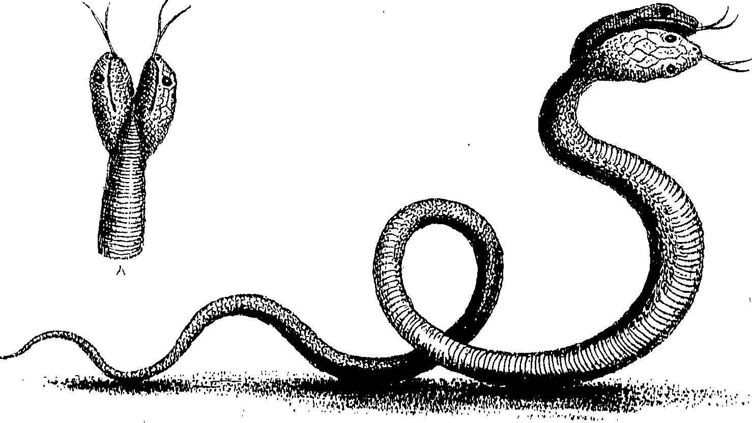 090/090490020004920_0.png